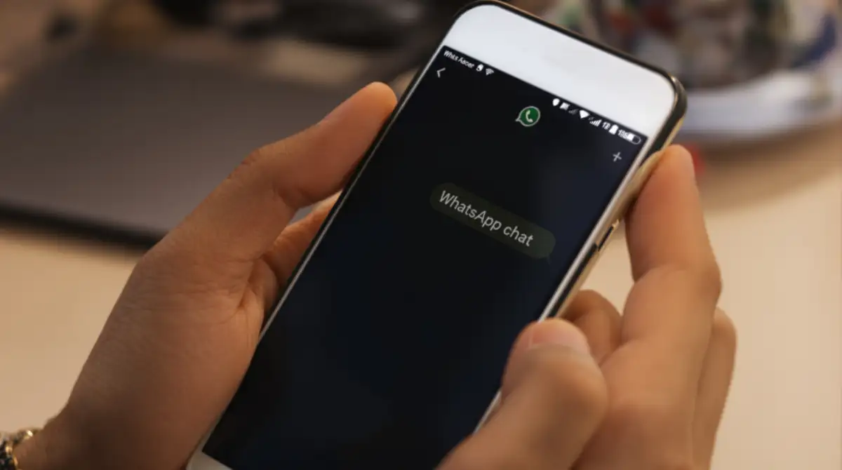 Easy WhatsApp Booking